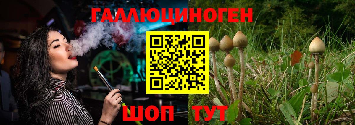 Галлюциногенные грибы Psilocybine cubensis  Вход с VPN  Саяногорск 